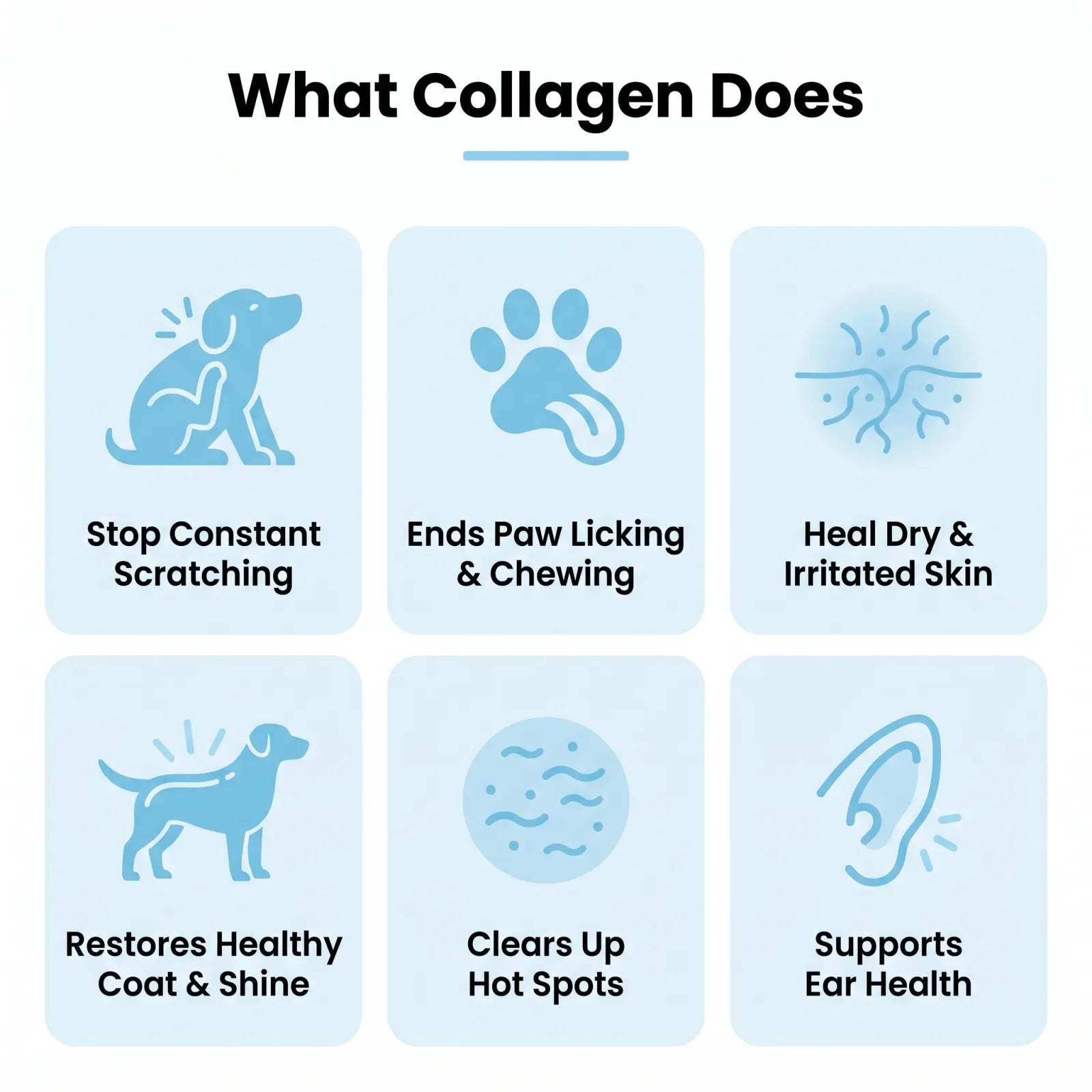 Hushlab Liquid Collagen image 3