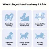 Hushlab Liquid Collagen image 3