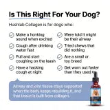 Hushlab Liquid Collagen image 8